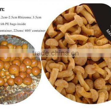 Frozen Nameko Mushroom/ IQF Nameko Food photo-2