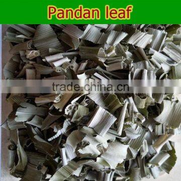 Organic Pandan Leaves Sell in Bulk