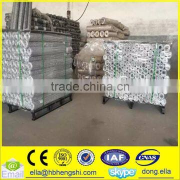 3/4" Cheap Galvanized Chicken Wire /Rabbit wire Mesh