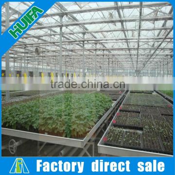 Agricultural seed,vegetable,flower greenhouse grow table with durable rack