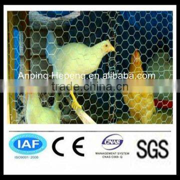 chicken coop hexagonal wire net