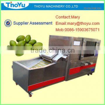 Olive Seed Extractor/Olive Seed Separator/Olive Seed Separating Machine(SMS: 0086-15903675071)