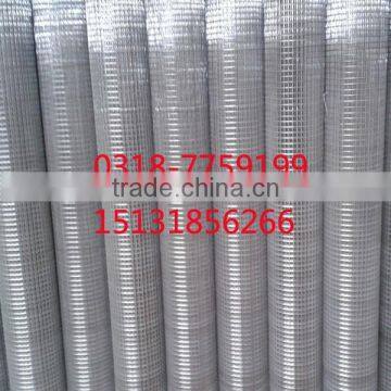 galvanized welded mesh export high quality 1/2 welded wire mesh 2016