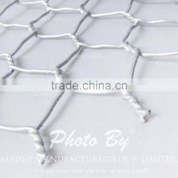 Hexagonal Wire Netting Agricultural Fencing