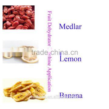 Fruits and Vegetables Dehydration Machines photo-6