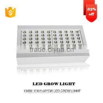 Low Price Aaa Quality High Power Patent 300W Led Grow Light From Shenzhen Factory photo-3
