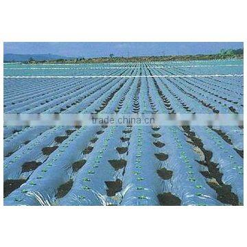 high quality PE agriculture film