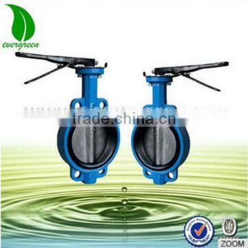 Dn250 Stainless Steel Butterfly Valve