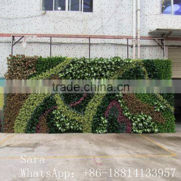 Wholesale Price Plastic Plant Vertical Everygreen Wall,artificial Plants for Wall photo-4