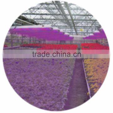 20W Waterproof LED Grow Light photo-2