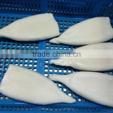 Frozen Pacific Squid Tube photo-4