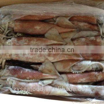 Whole Round Frozen Pacific Squid photo-3
