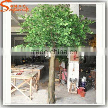 Competitive Price Artificial Ficus Tree Fake Artificial Trees for Sale Garden Ornamental Plants and Trees photo-5