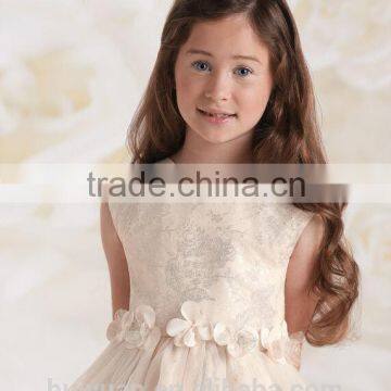 Newest Halter Lace Baby Gown Junior Dresses photo-2