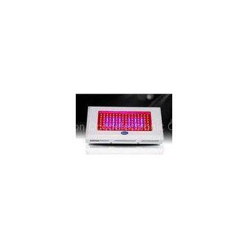 Indoor 50W-EVO led grow light for Hydroponics & Horticulture &greenhouse AC 85 ~ 260V