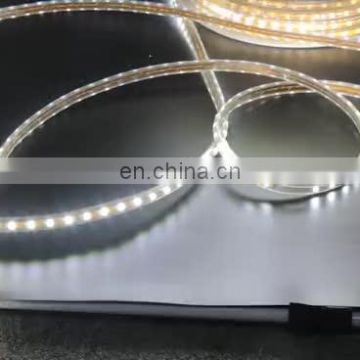 Waterproof IP67 5050 SMD Single Color Led Flexible Strip Light For Hotel Decoration