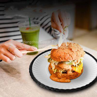 10-Inch Reusable Plastic Paper Plate Holder Picnic Supplies Heavy Duty Woven Style