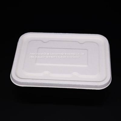 New Hot Disposable Biodegradable 500ML TRAY Bagasse Food Box Take Away Sugarcane Container photo-2