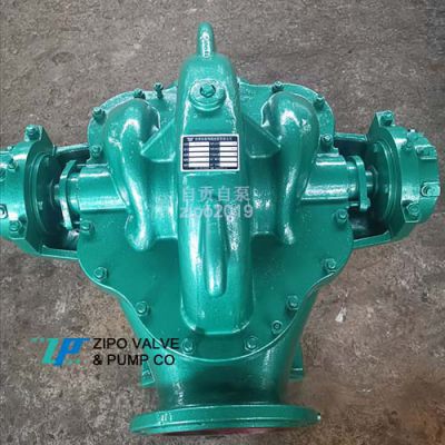 ZIPO large flow middle split body single stage double suction centrifugal pump circulating pump clean water pump ZS or ZSH type