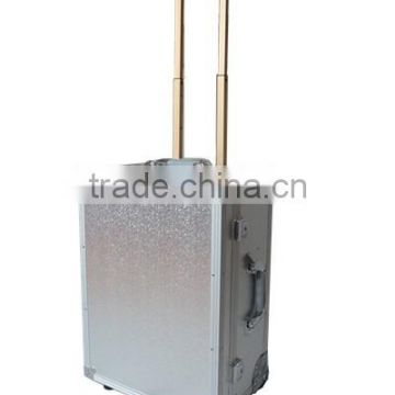 Aluminum Luggage Case