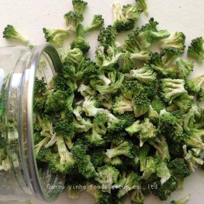 manufacturer best selling freeze dried broccoli