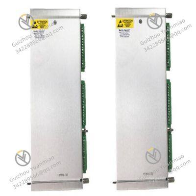 BENTLY 133819-02 Velocity seismic probe