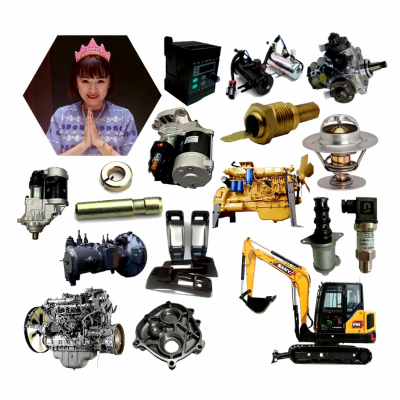 Accessories Per Miniescavatore SANY SY50U Ricambi Original E Parti Di Ricambio Per Escavatore Compatto