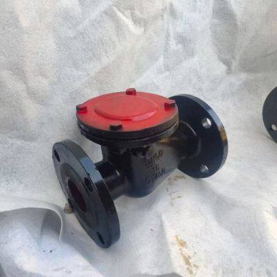 PN16 PN10 Cast Iron Ductile Iron GG25 GGG50 Large Diameter Flange Swing Check Valve Hard Seal Check Valve photo-3