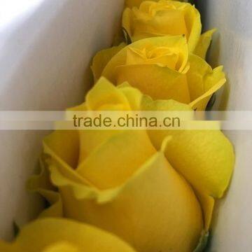 Top Quality Most Popular Gold Plated Gift Rose photo-6