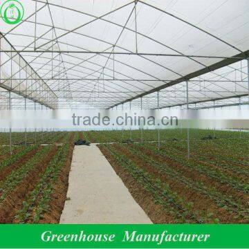 Vegetable Greenhouses for Sale