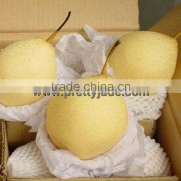 china wholesale ya pear exporter