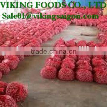 FRESH RED ONION _ FROM VIET NAM photo-3