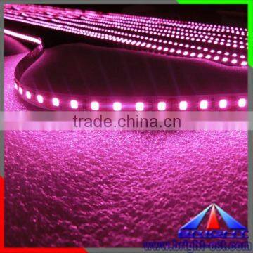 Adjustable led strip WW+CW, led lights Pink + Amber avaliable led strip light DC12V