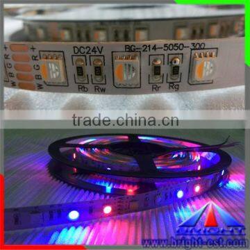 Best Price!Waterproof Optional LED Flexible Strip Epistar RGB Led Strip 5050 IP68 With 2 Years Warranty photo-2