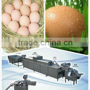 semi-automatic 304 SUS 3000pcs/h egg breaking/cracking machine