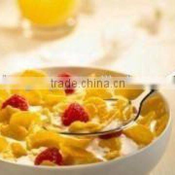 Automatic Corn Flakes Breakfast Cereal Making Machine, Corn Flakes Extruder photo-4