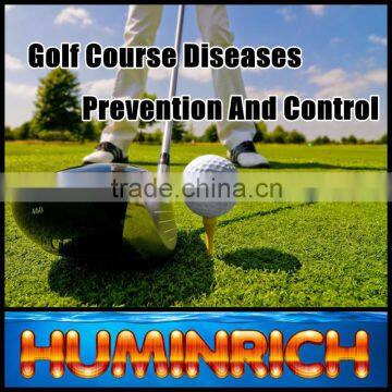 FAQ 4--Golf Course Turfgrass Diseases Prevention And Control