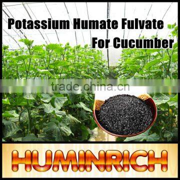 FAQ 2--Potassium Humate Fulvic Acid Fertilizer For Cucumber