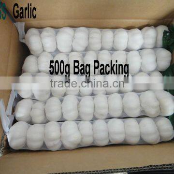 Shandong New Garlic Price of Sale photo-2