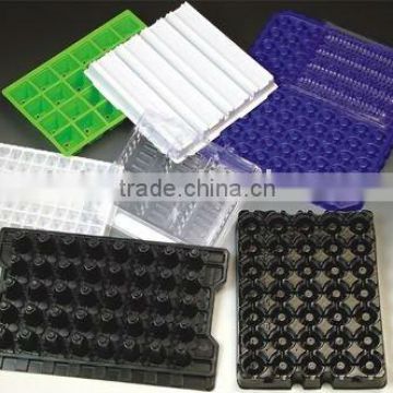 Blister PVC colorful tray