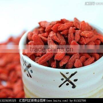 ISO 9001 Goji Berry photo-5