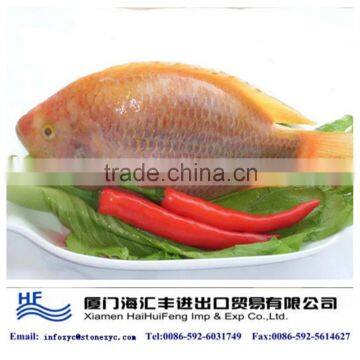 red tilapia fish