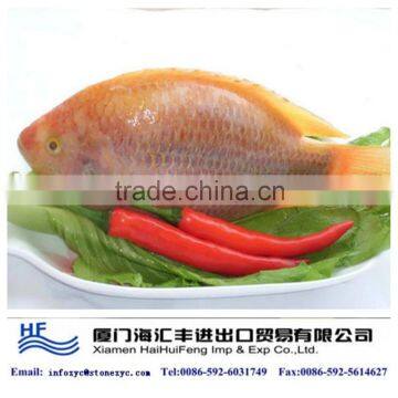 Red Tilapia Fish