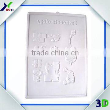 Custom Embossed Pvc 3d Medical Poster/pregnancy Chart photo-4