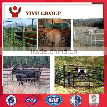 CATTLE YARD DESIGN HANDLING EQUIPMENT