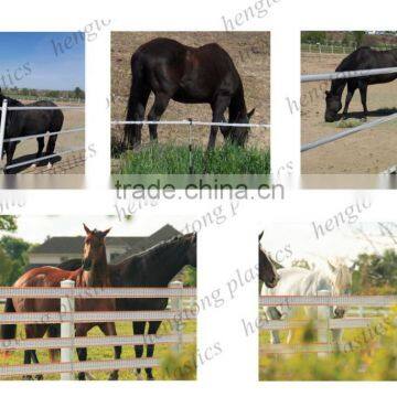 movable horse fence polytape for temporary pasture