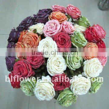 Artificial England Rose YL391F photo-1