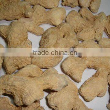 chinese greenfarm dried ginger for sale