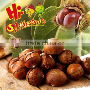 Roasted Ringent Chestnuts Snacks--ready to Eat Nuts photo-3