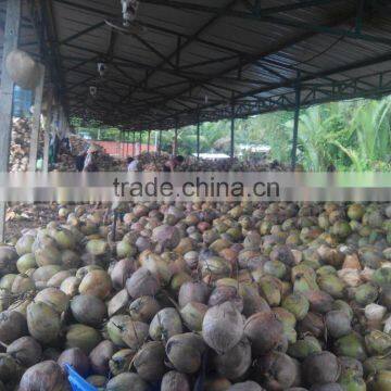 desiccated coconut High Fat